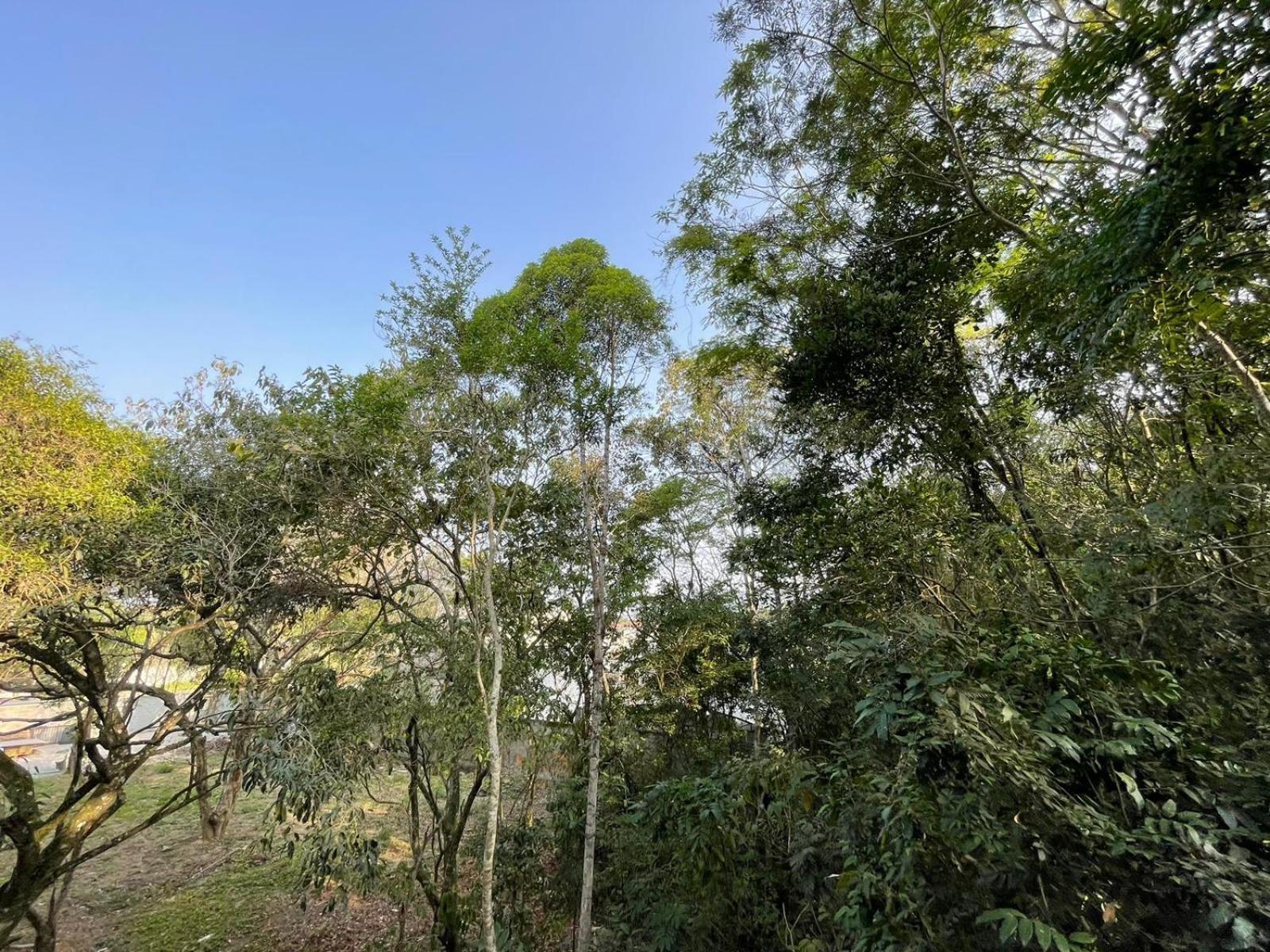 Conforto E Natureza No Río de Janeiro Exterior foto